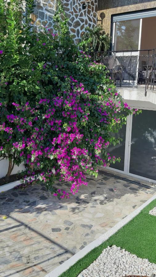 Colina Guesthouse - Braga Exterior foto